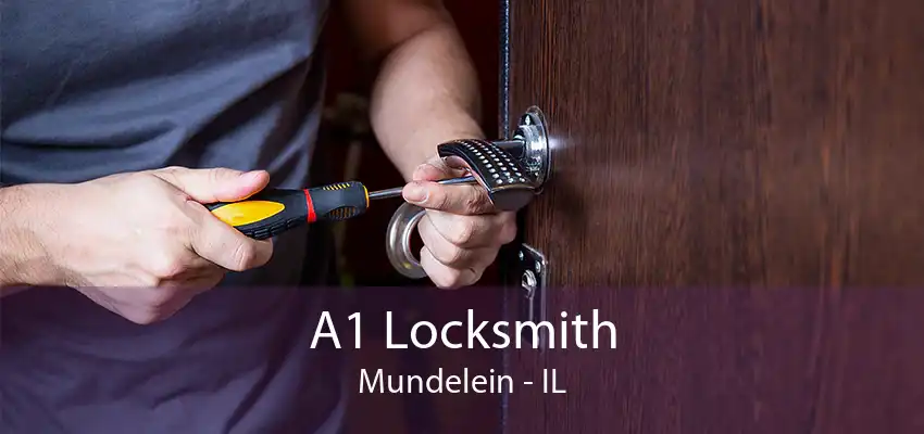 A1 Locksmith Mundelein - IL