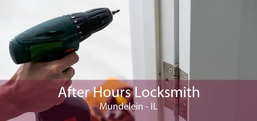 After Hours Locksmith Mundelein - IL