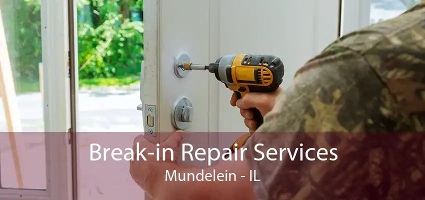 Break-in Repair Services Mundelein - IL