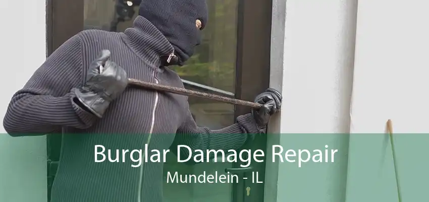 Burglar Damage Repair Mundelein - IL