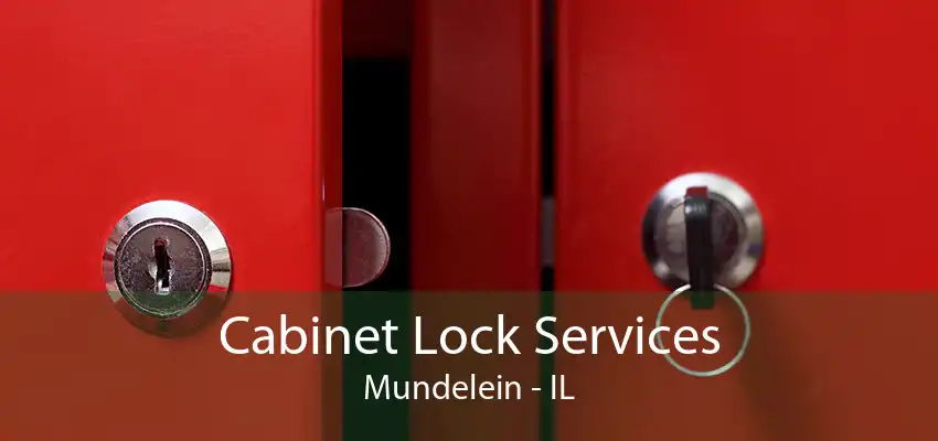 Cabinet Lock Services Mundelein - IL