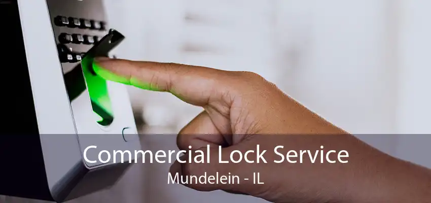 Commercial Lock Service Mundelein - IL