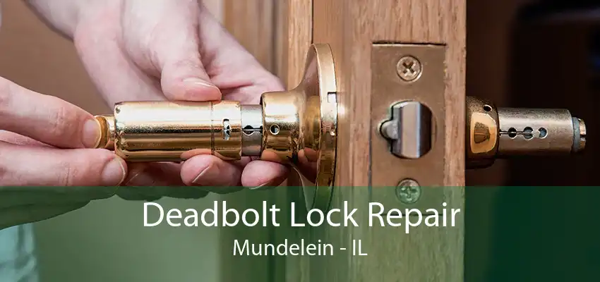 Deadbolt Lock Repair Mundelein - IL