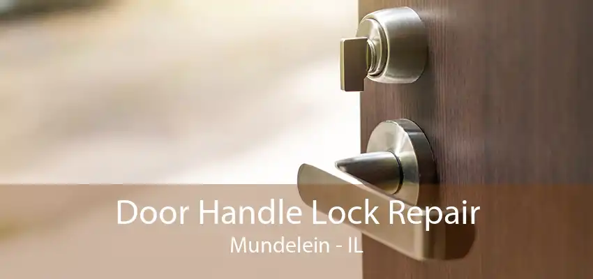 Door Handle Lock Repair Mundelein - IL