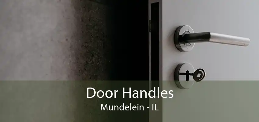 Door Handles Mundelein - IL