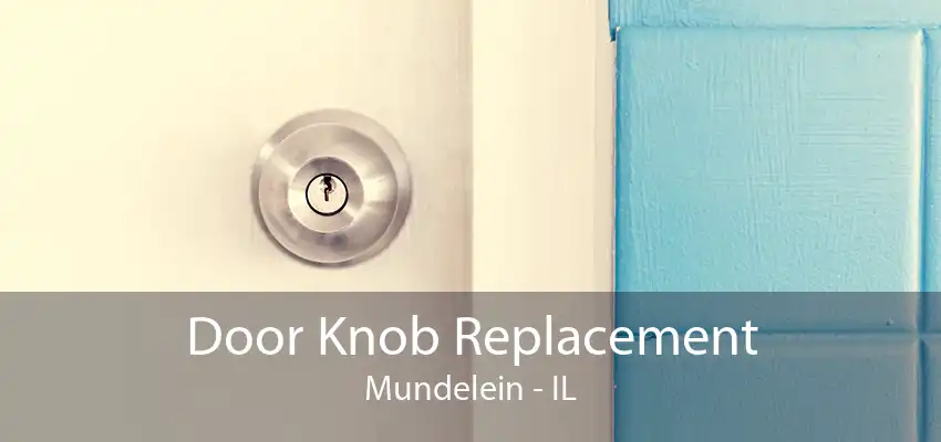 Door Knob Replacement Mundelein - IL