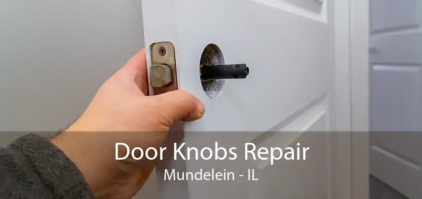 Door Knobs Repair Mundelein - IL