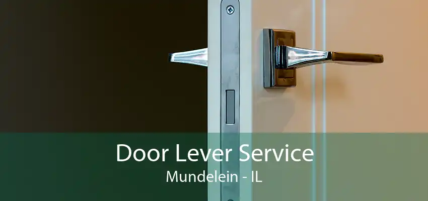 Door Lever Service Mundelein - IL