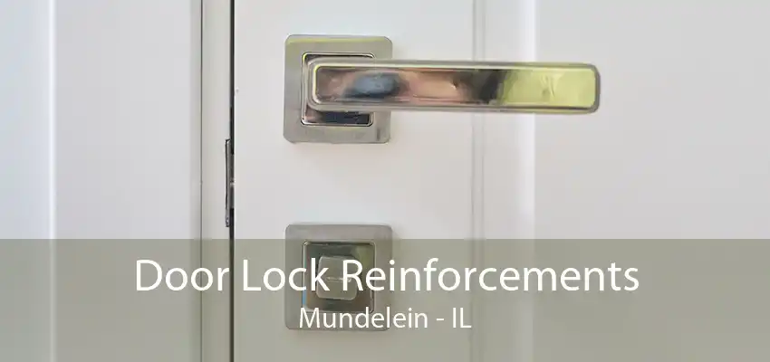 Door Lock Reinforcements Mundelein - IL