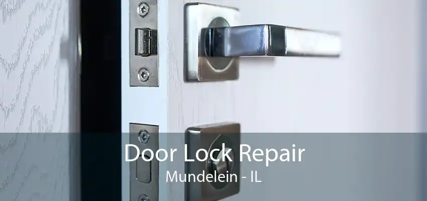 Door Lock Repair Mundelein - IL