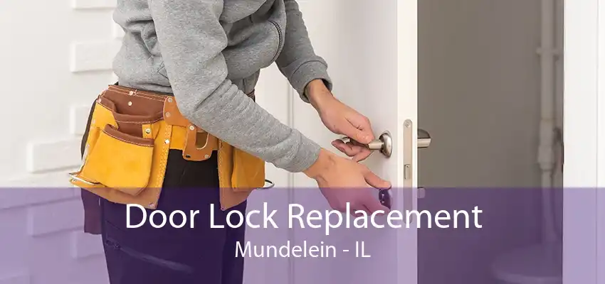 Door Lock Replacement Mundelein - IL