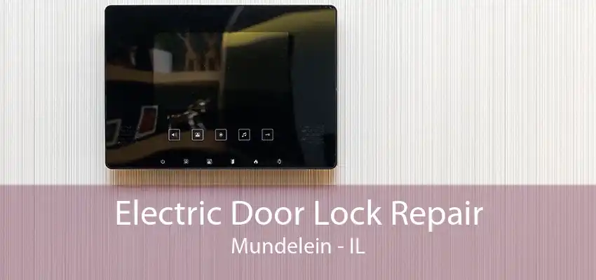 Electric Door Lock Repair Mundelein - IL