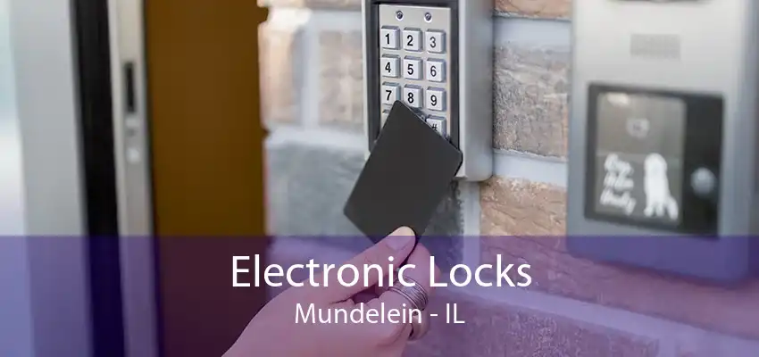 Electronic Locks Mundelein - IL