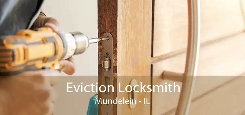 Eviction Locksmith Mundelein - IL