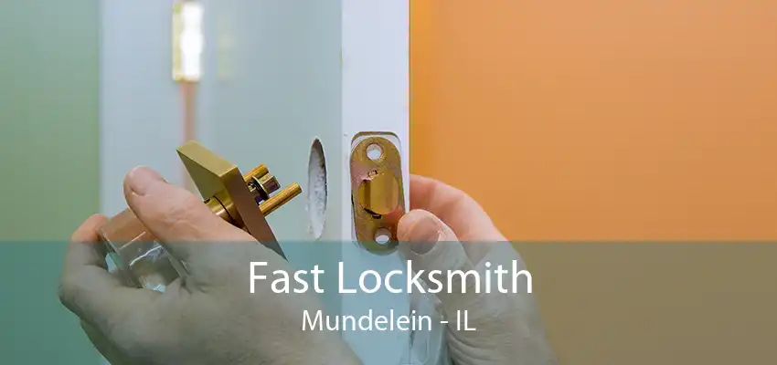 Fast Locksmith Mundelein - IL