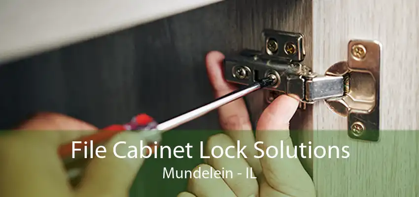 File Cabinet Lock Solutions Mundelein - IL