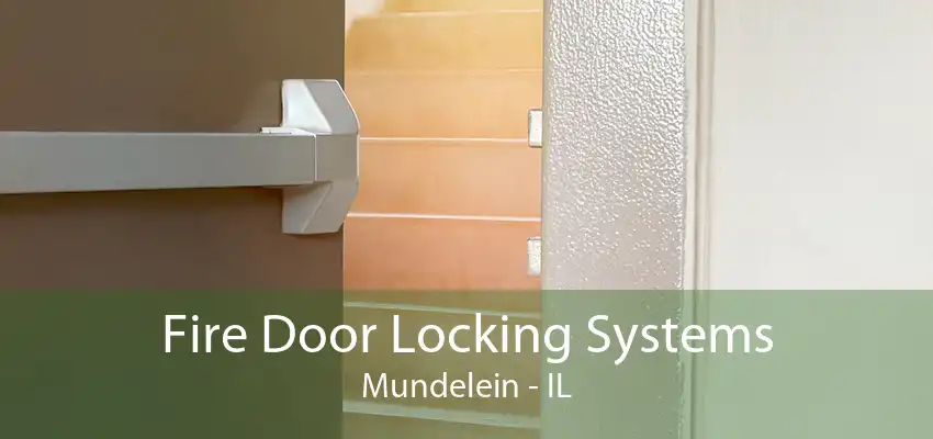 Fire Door Locking Systems Mundelein - IL