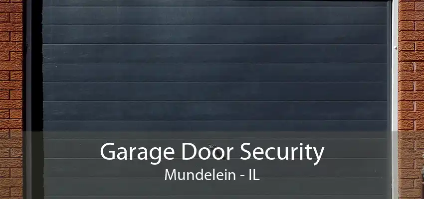 Garage Door Security Mundelein - IL