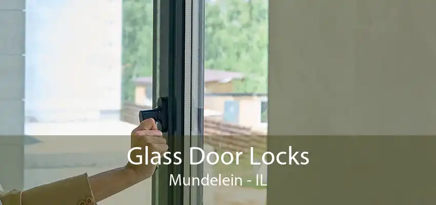 Glass Door Locks Mundelein - IL