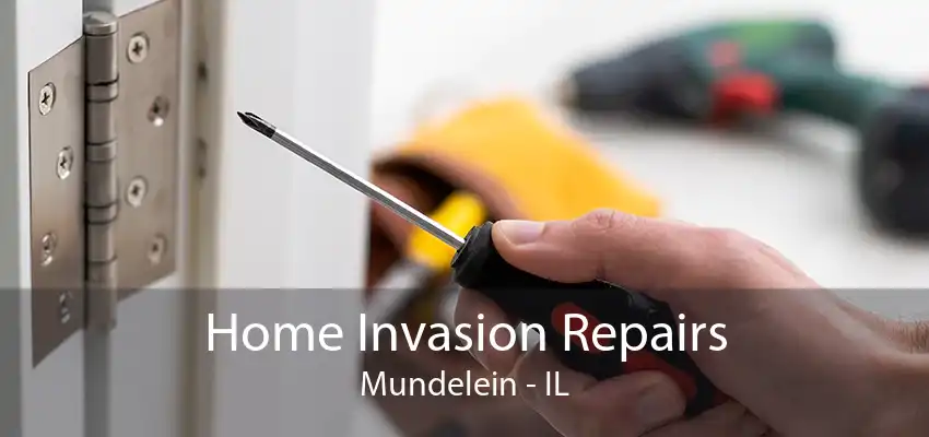 Home Invasion Repairs Mundelein - IL