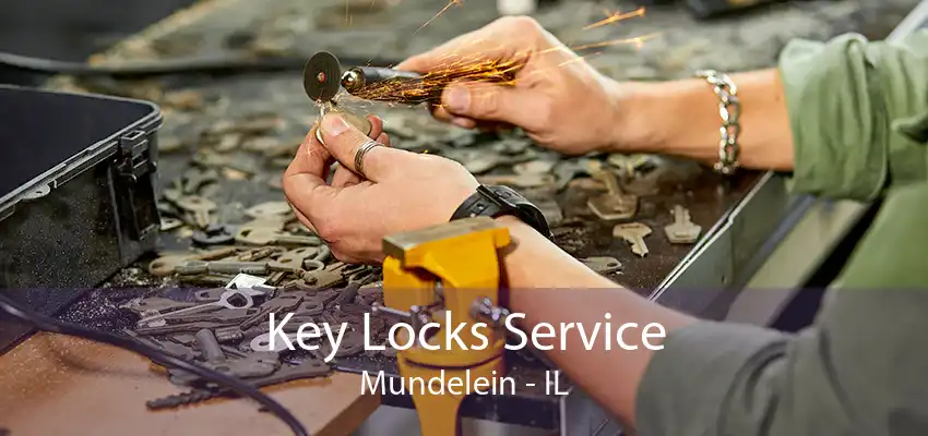 Key Locks Service Mundelein - IL