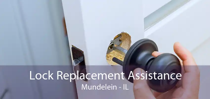 Lock Replacement Assistance Mundelein - IL