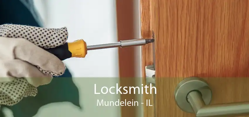 Locksmith Mundelein - IL