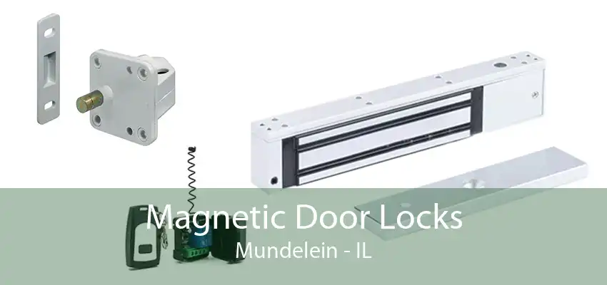 Magnetic Door Locks Mundelein - IL