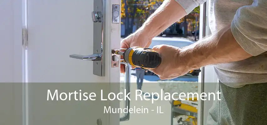 Mortise Lock Replacement Mundelein - IL