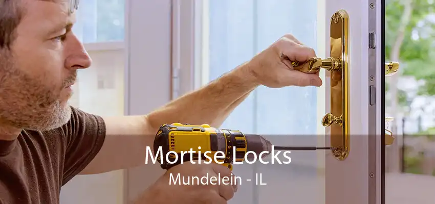 Mortise Locks Mundelein - IL