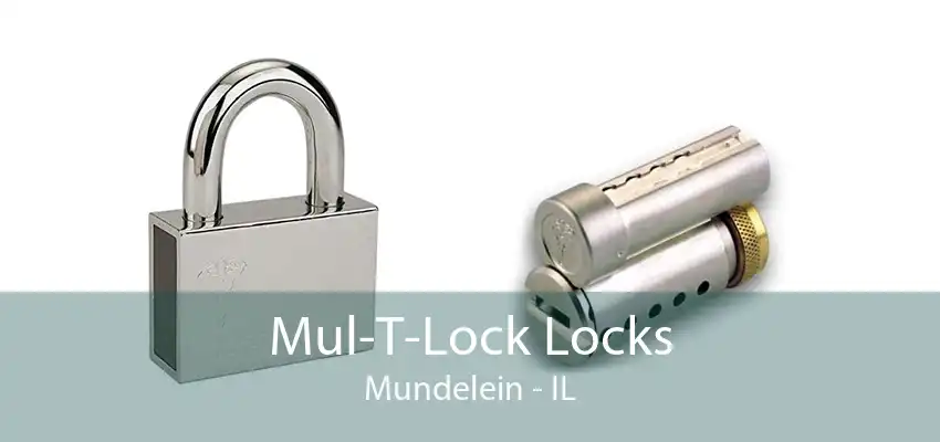 Mul-T-Lock Locks Mundelein - IL