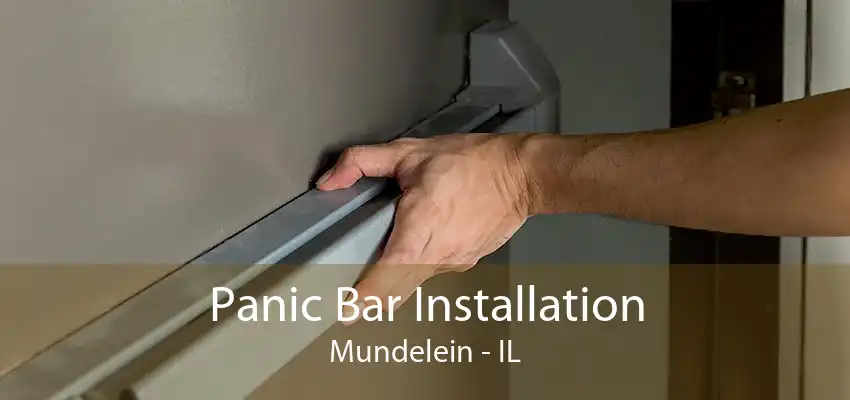 Panic Bar Installation Mundelein - IL