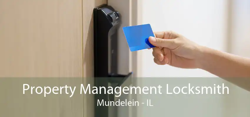 Property Management Locksmith Mundelein - IL