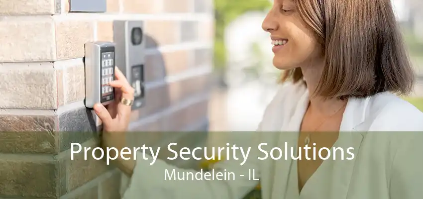 Property Security Solutions Mundelein - IL