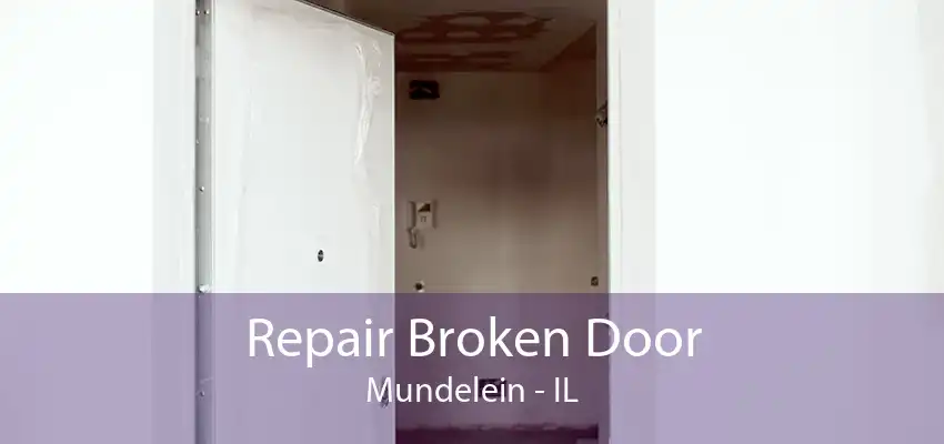 Repair Broken Door Mundelein - IL