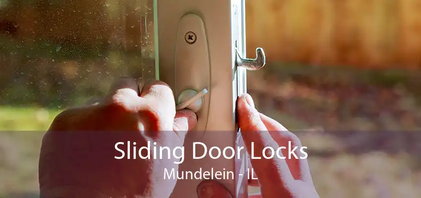 Sliding Door Locks Mundelein - IL