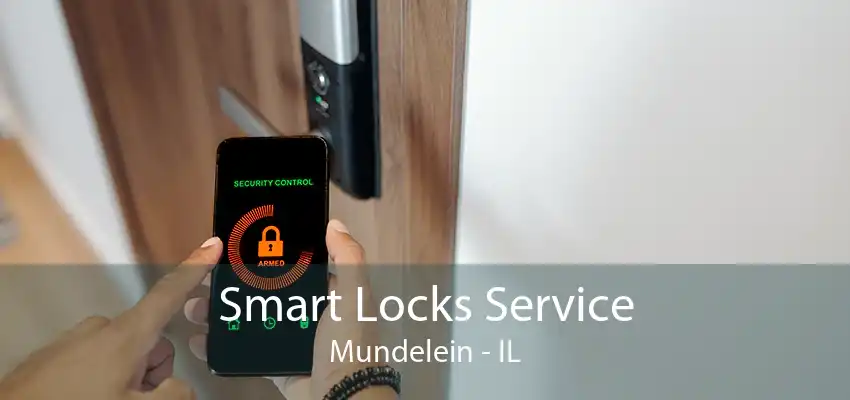 Smart Locks Service Mundelein - IL