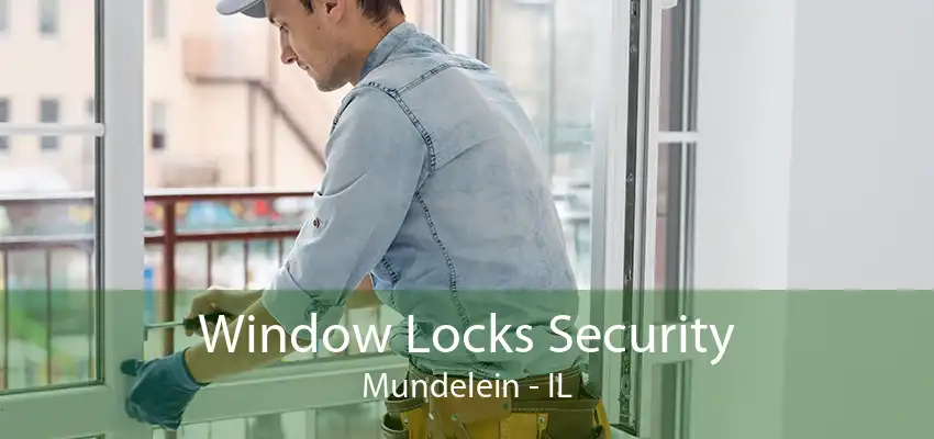 Window Locks Security Mundelein - IL